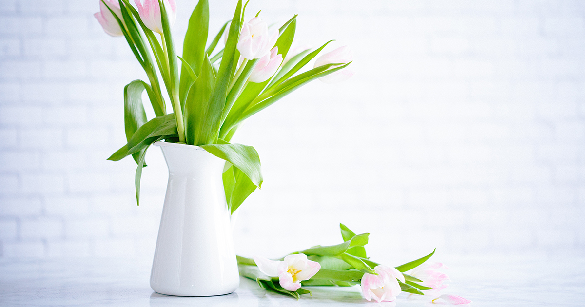 Easy Spring Cleansing Concepts: 30 Ideas and Sources